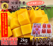 【秀品】沖縄マンゴー贈答用2kg4～5玉入り（お中元・ギフト）【送料無料】
