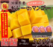 【優品】沖縄マンゴー贈答用1kg（お中元・ギフト）2～3玉入り【送料無料】