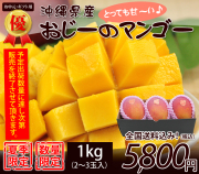 【優品】沖縄マンゴー贈答用1kg（お中元・ギフト）2～3玉入り【送料無料】