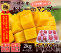 【極】最高級の沖縄マンゴー2kg贈答用4～5玉入り（お中元・ギフト）【送料無料】