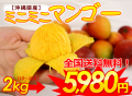 沖縄産ミニマンゴー（ご家庭用）2kg【送料無料】