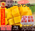 【優品】沖縄マンゴー贈答用2kg4～6玉入（お中元・ギフト）【送料無料】