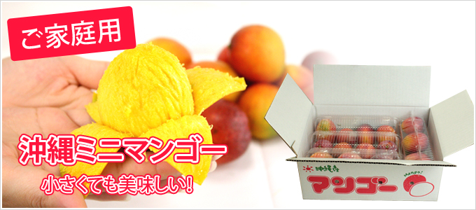 ミニマンゴー