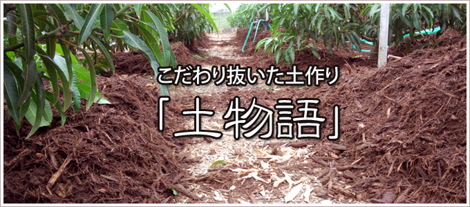 土物語