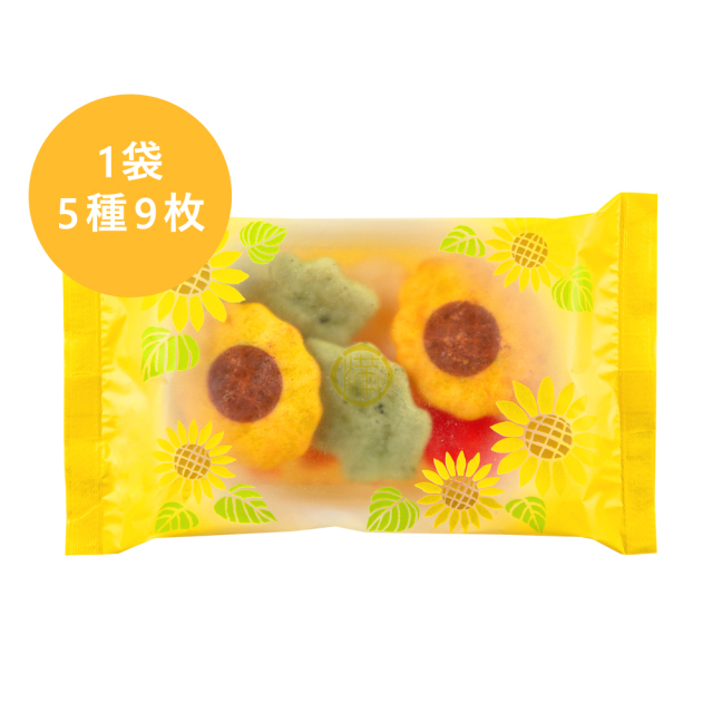 24ふきよせ夏いろ