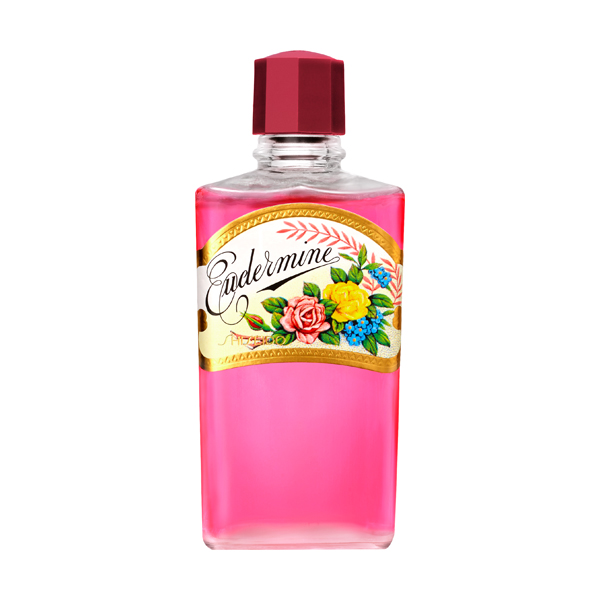 資生堂 オイデルミンＮ オイデルミン（Ｎ）