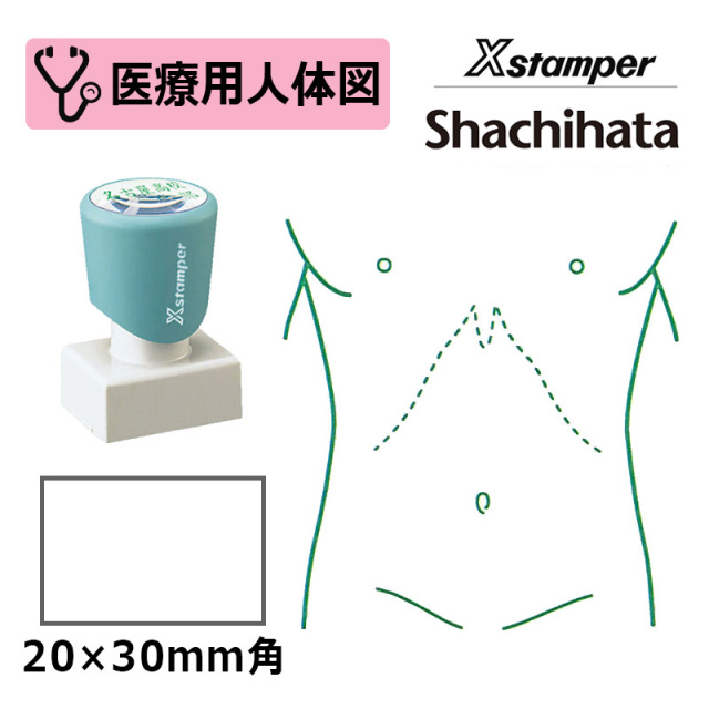 【シヤチハタ】医療用人体図（胴体） Xスタンパー 角型印 2030号 ( 印面サイズ:20×30mm )  医療・病院・看護師・ナース・整体師 はんこ スタンプ