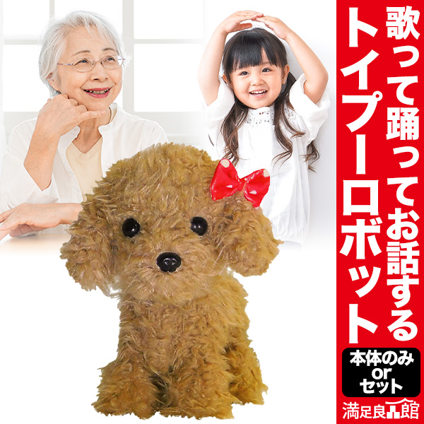 いっぱい元気におしゃべりするトイプードルがとても元気よく踊ったりもします♪ いっぱい元気におしゃべりするトイプードルがとても元気よく踊ったり