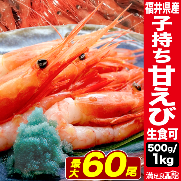 500g or 1kg 福井県産 子持ち甘えび（生食可） 卵 こもち あまえび アマエビ 甘海老 エビ 生 刺身 さしみ お造り 天ぷら 唐揚げ 新鮮 鮮度抜群 海の幸 海鮮 冷凍 満足良品館 送料無料