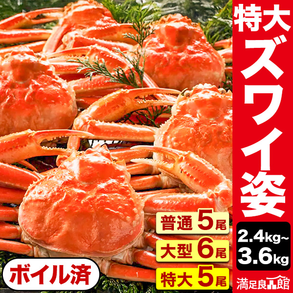 普通 or 大型 or 特大ボイルズワイガニ姿 特大ずわいがに姿 ズワイガニ ずわいがに ずわい蟹 ズワイ蟹 蟹姿 カニ姿 ズワイガニ味噌 かにみそ 蟹みそ ボイルズワイ ボイルずわいがに 満足良品館カニ 全国送料無料