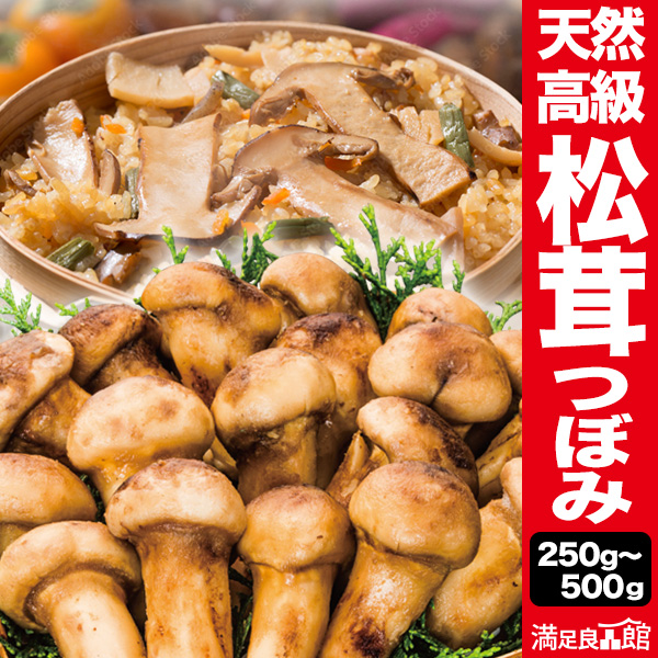 250g/500g 天然松茸(つぼみ) 1袋 まつたけ マツタケ 松茸ご飯 炊き込みご飯 きのこ お吸い物 冷凍 お土産 お祝い プレゼント ギフト おすすめ 満足良品館 送料無料