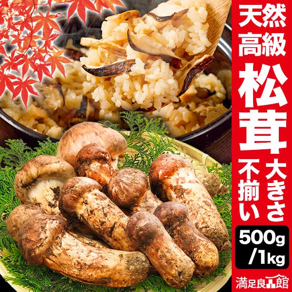 500g or 1kg 天然松茸(大きさ不揃い) まつたけ マツタケ 松茸ご飯 炊き込みご飯 きのこ お吸い物 冷凍 お土産 お祝い プレゼント ギフト おすすめ 満足良品館 送料無料