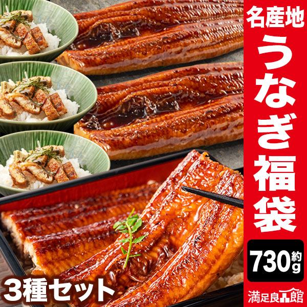 絶品うなぎ福袋 九州産 3種セット 鰻の蒲焼 国産鰻 １本鰻 カットうなぎ 刻みうなぎ うなぎ蒲焼き 鹿児島県産 宮崎県産 土用の丑の日 土用 お祝い 海鮮 満足良品館 お取り寄せ 送料無料