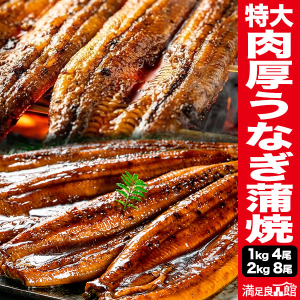 1kg(4尾) or 2kg(8尾) 特大 肉厚うなぎ蒲焼 1尾約250gの特大サイズ コスパ抜群 鰻蒲焼 うなぎ うなぎ1本物 ウナギ蒲焼 鰻の蒲焼 特大うなぎ 大きい鰻 お得なうなぎ 土用の丑の日 土用 送料無料