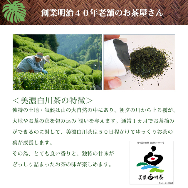 報告しまし茶