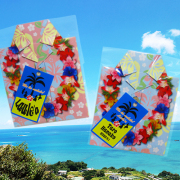 プチギフト紅茶　人生のアロハ