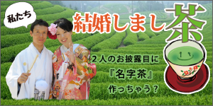 人気プチギフト　茶