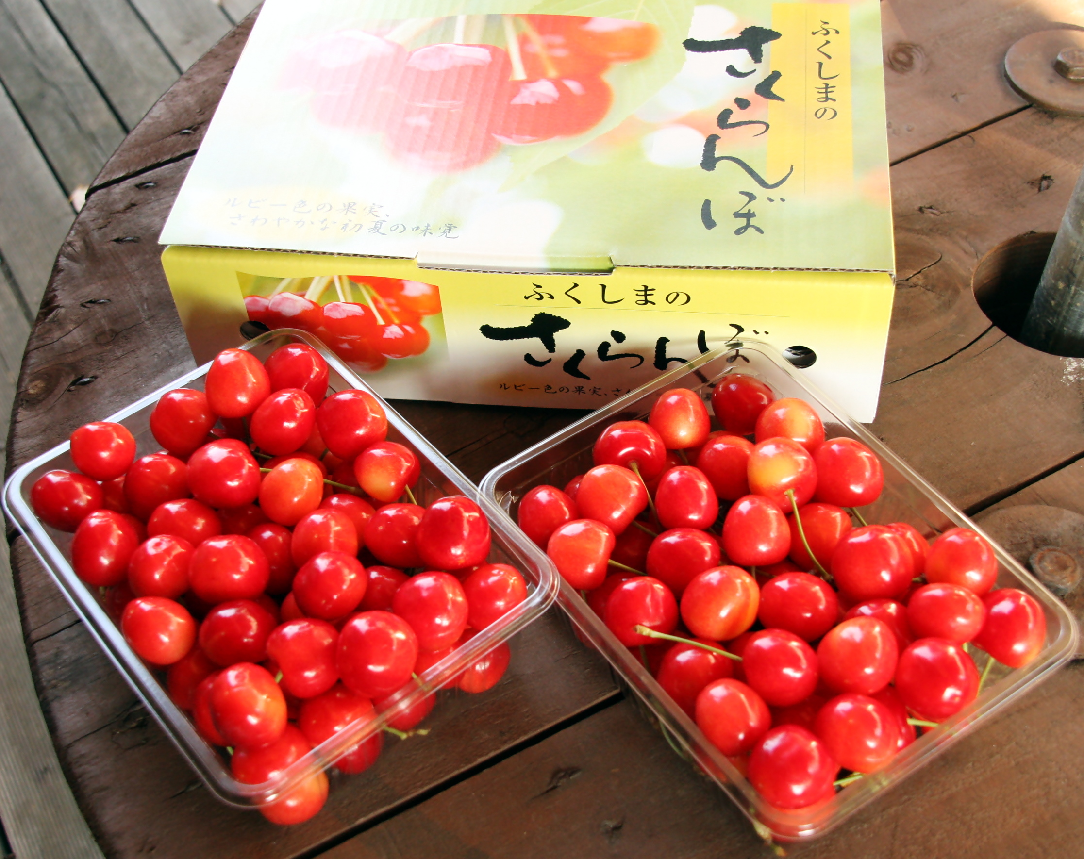 「千葉果樹園」のさくらんぼ【佐藤錦 】