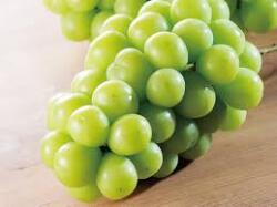 【シャインマスカット】３～４房　2Kg箱 令和７年産予約賜り中。