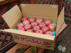 サンフジ　２段