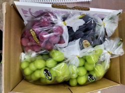 ね【シャインマスカット】お任せ（自家消費用）　2Kg箱 令和7年産　終了しました。収穫時期が異なるため詰め合わせは不可、写真はイメージです。