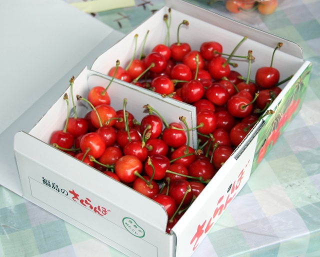 わたなべ果樹園」のさくらんぼ【佐藤錦 】