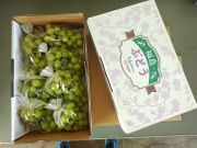 【シャインマスカット】6～8房　4Kg箱 令和７年産　終了しました。 　