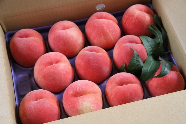 【あかつき】　３Ｋｇ箱（１１玉入り）