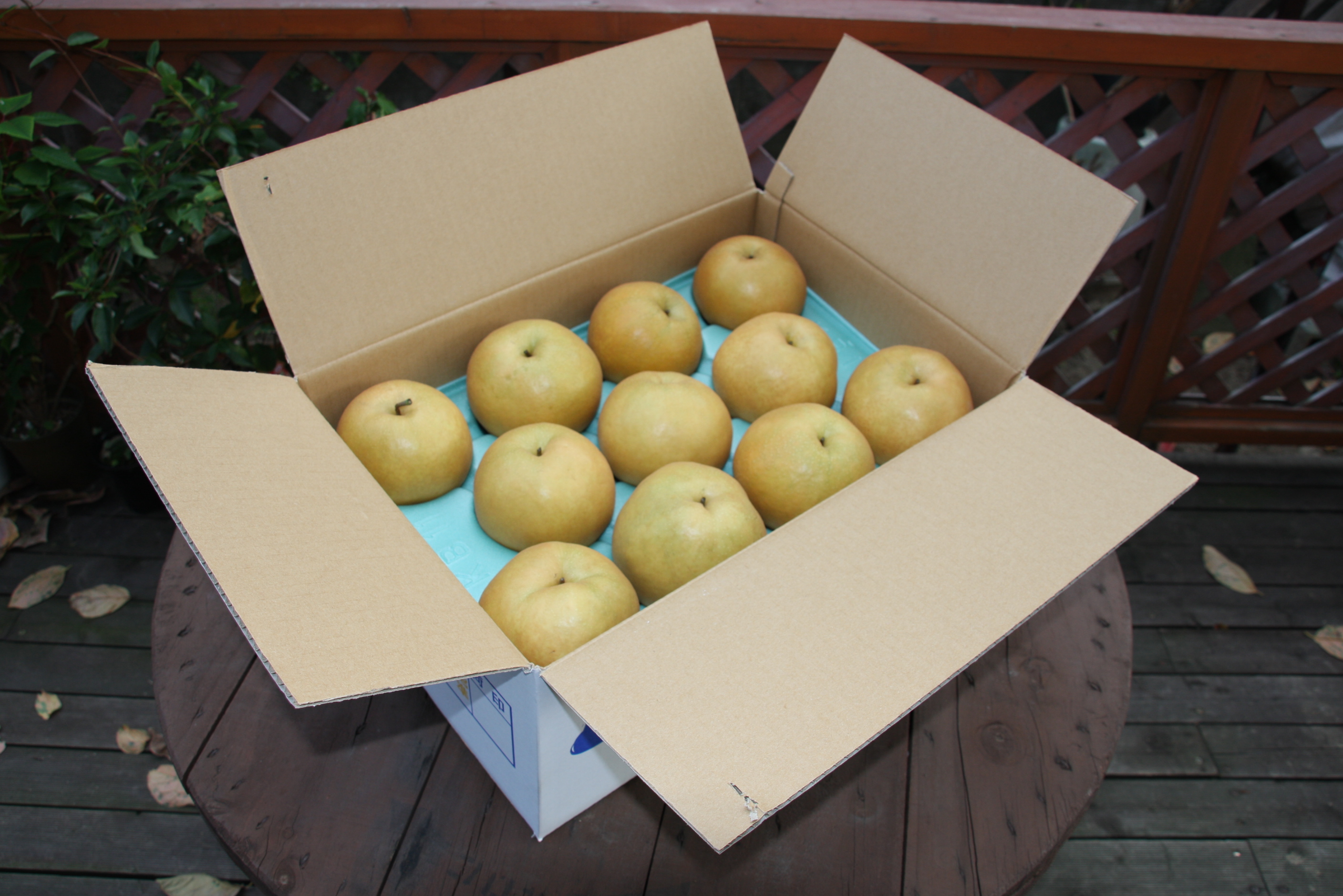 【新高】　１０Kg箱（２０～２２玉入り）