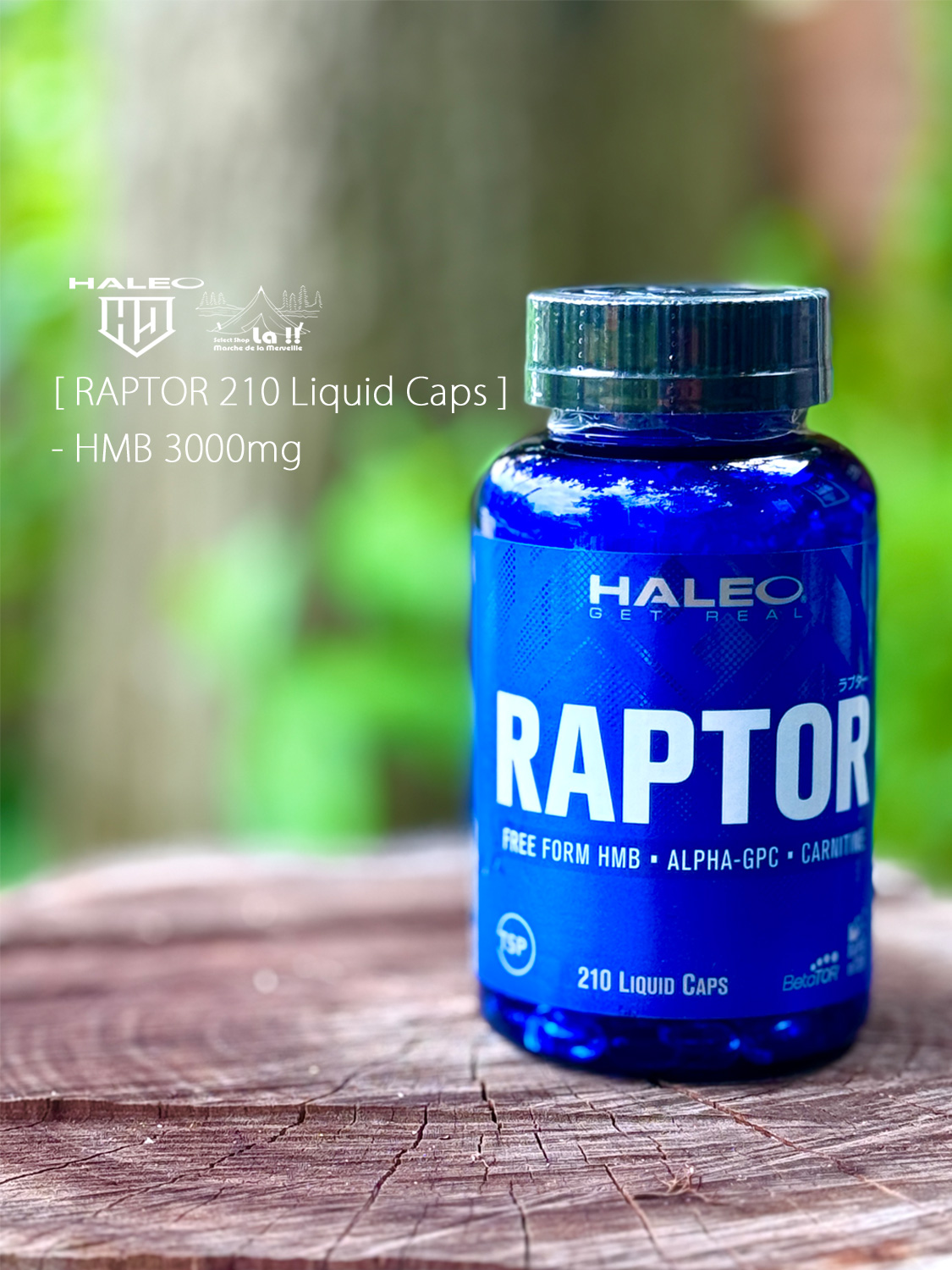 【 HALEO / ハレオ 】RAPTOR 210 LIQUID CAPS / ラプター 210 リキッドカプセル / 速さに着目した、従来のHMBを超えたHMB100%サプリメント