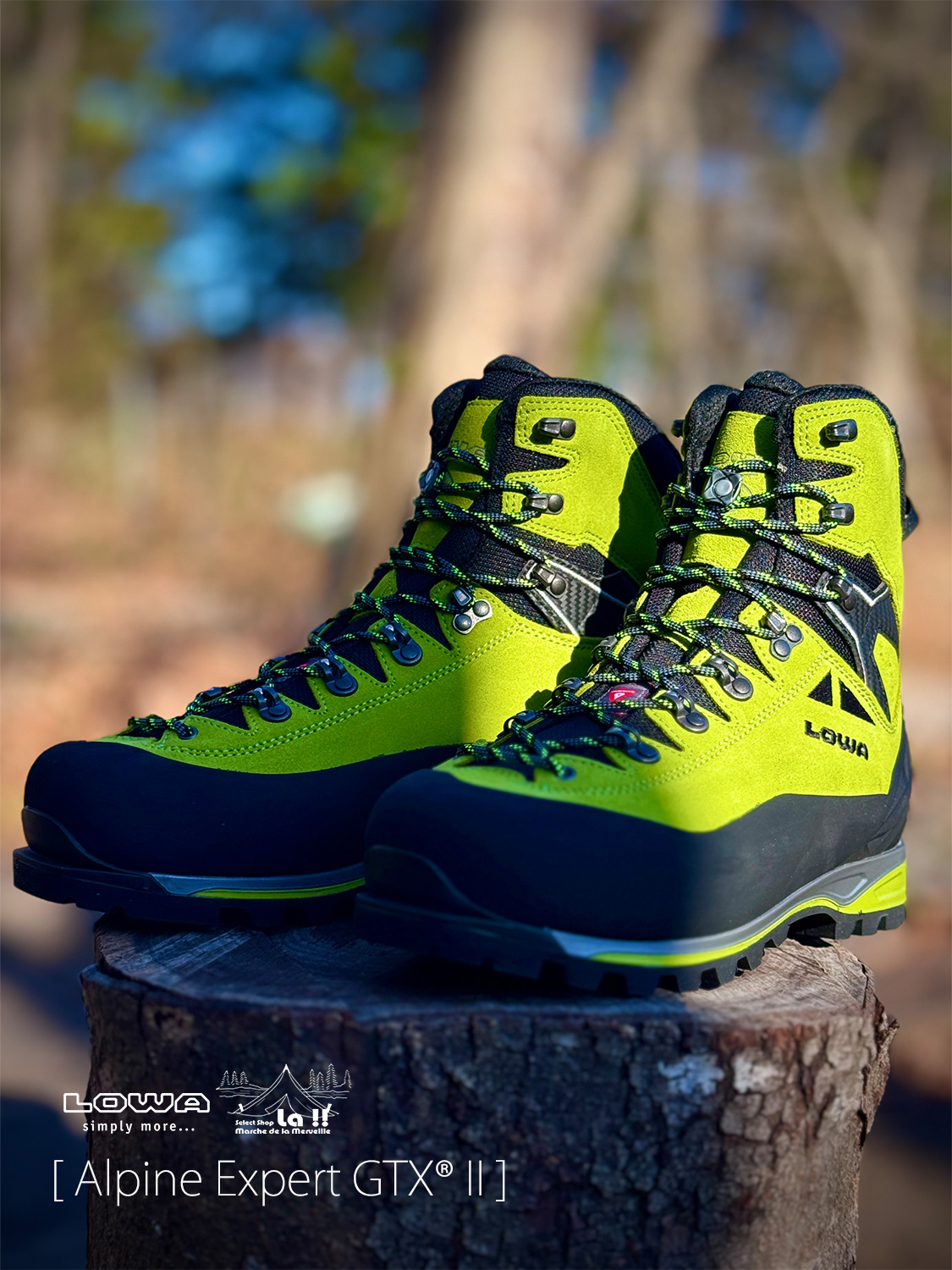 【 LOWA / ローバー 】 Alpine Expert II GTX / アルパインエキスパート II GTX / 最高のパフォーマンスを持つ厳冬期用アルパインブーツ