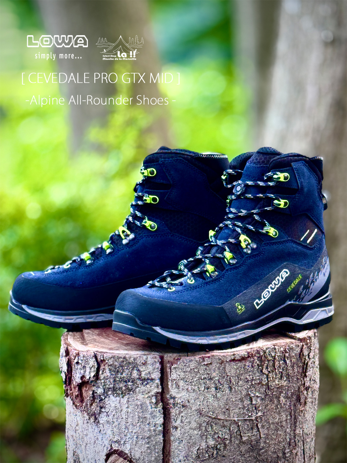 【 LOWA / ローバー 】 CEVEDALE PRO GTX MID / チュベターレ プロ GTX / アルパインオールラウンダーシューズ