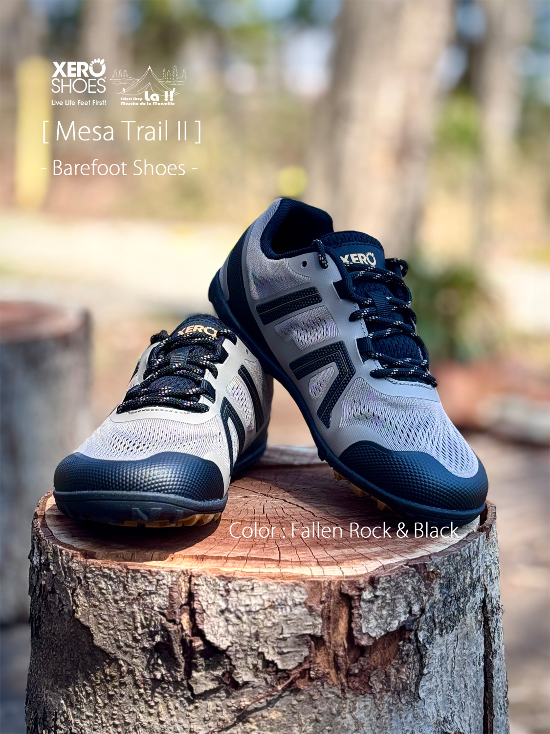 【 XERO SHOES / ゼロシューズ 】 MESA TRAIL II (Fallen Rock & Black)/ メサトレイル II (フォールンロック＆ブラック)/  素足感覚を存分に味わえるナチュラルランニングシューズ