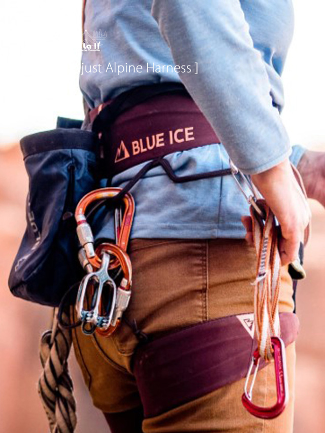 BLUE ICE /ブルーアイス 】Cuesta Adjust / クエスタアジャスト