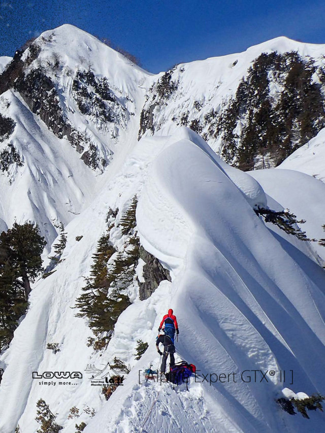 【登山靴（冬山用）】LOWA ローバー ALPINE EXPERT GTX LOWA ALPINE EXPERT 2 GTX WS ローバー アルパインエキスパート