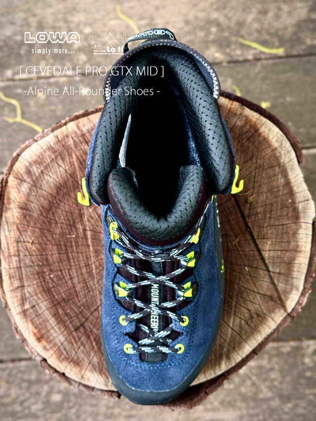 LOWA / ローバー 】 CEVEDALE PRO GTX MID / チュベターレ プロ