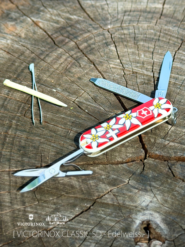 VICTORINOX / ヴィクトリノックス 】CLASSIC SD - Edelweiss