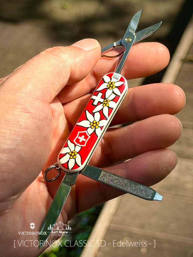 VICTORINOX / ヴィクトリノックス 】CLASSIC SD - Edelweiss