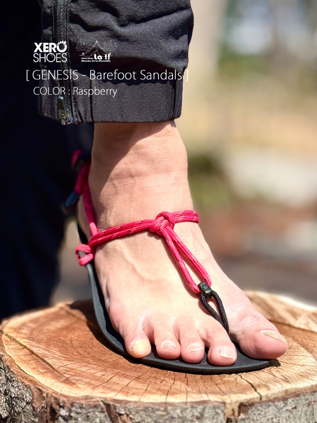 ゼロシューズ XEROSHOES サンダル ジェネシス ベアフット アウトドア XERO SHOES / ゼロシューズ 】Genesis / ジェネシス