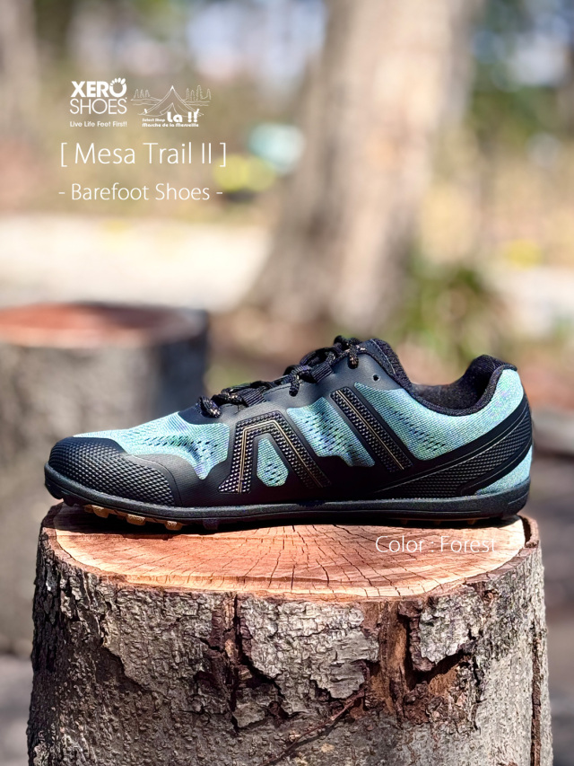 取寄) ゼロシューズ メンズ テラフレックス リ Xero Shoes men