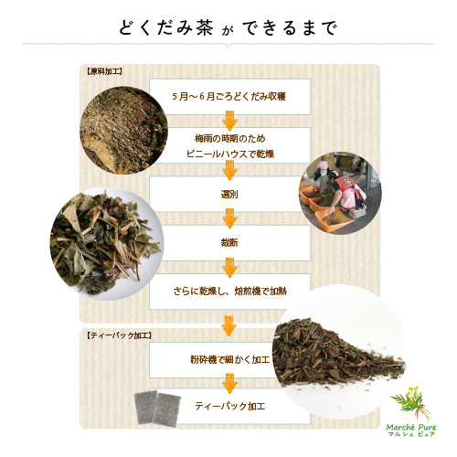 みー様専用連絡用画面】#515 乾燥どくだみ どくだみ茶 開花期 2025年産