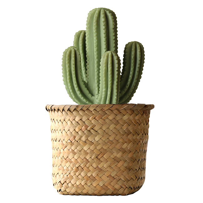 mercyu(メルシーユー) Nordic Collection リードディフューザー フローズンペア