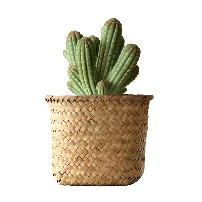 mercyu(メルシーユー) Nordic Collection リードディフューザー シーアイランドコットン