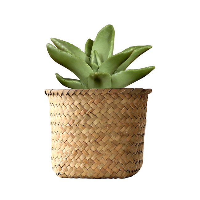 mercyu(メルシーユー) Nordic Collection リードディフューザー シトラスバーベナ