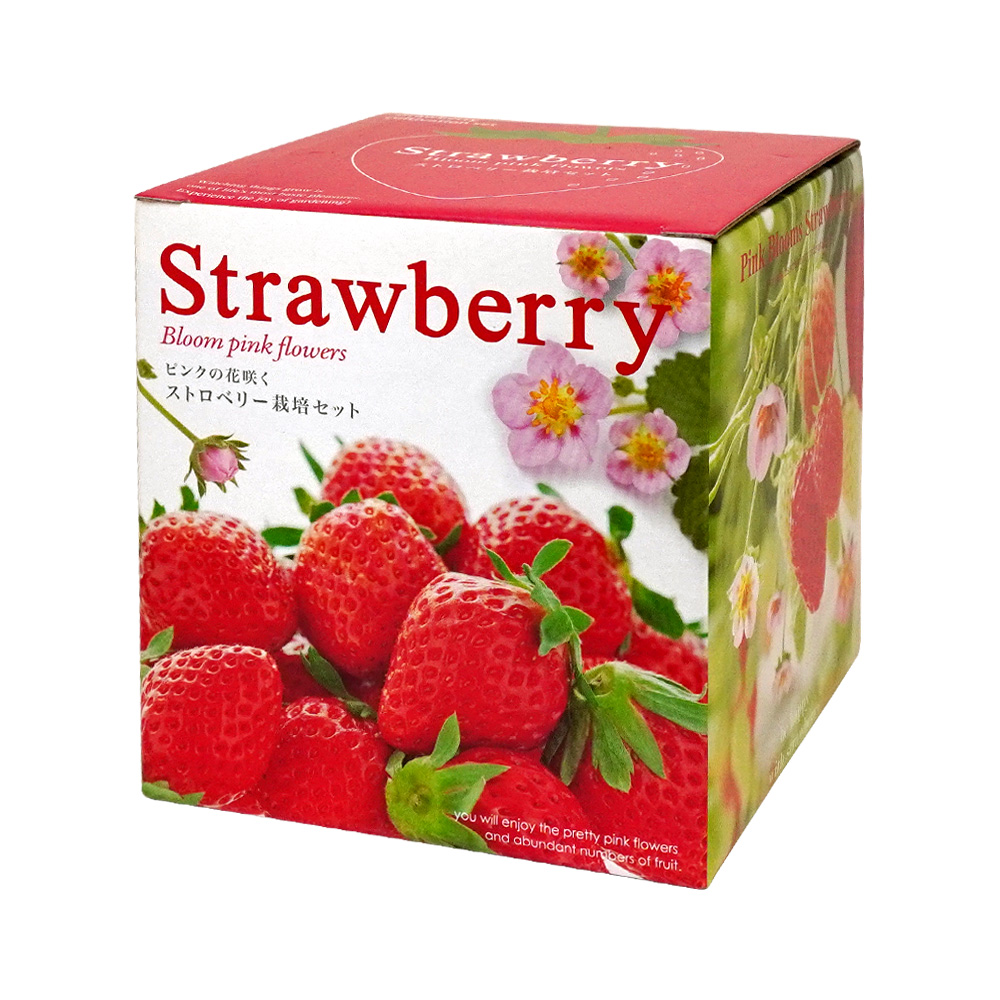 ピンクの花咲くストロベリー栽培キット ハートポット 観葉植物