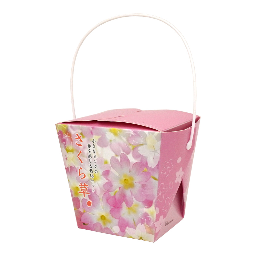 桜草栽培キット プリムローズ FloralContainer フローラルコンテナ 聖