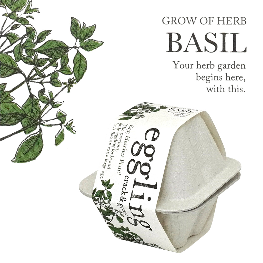 eggling エッグリング ハーブ栽培キット バジル 聖新陶芸