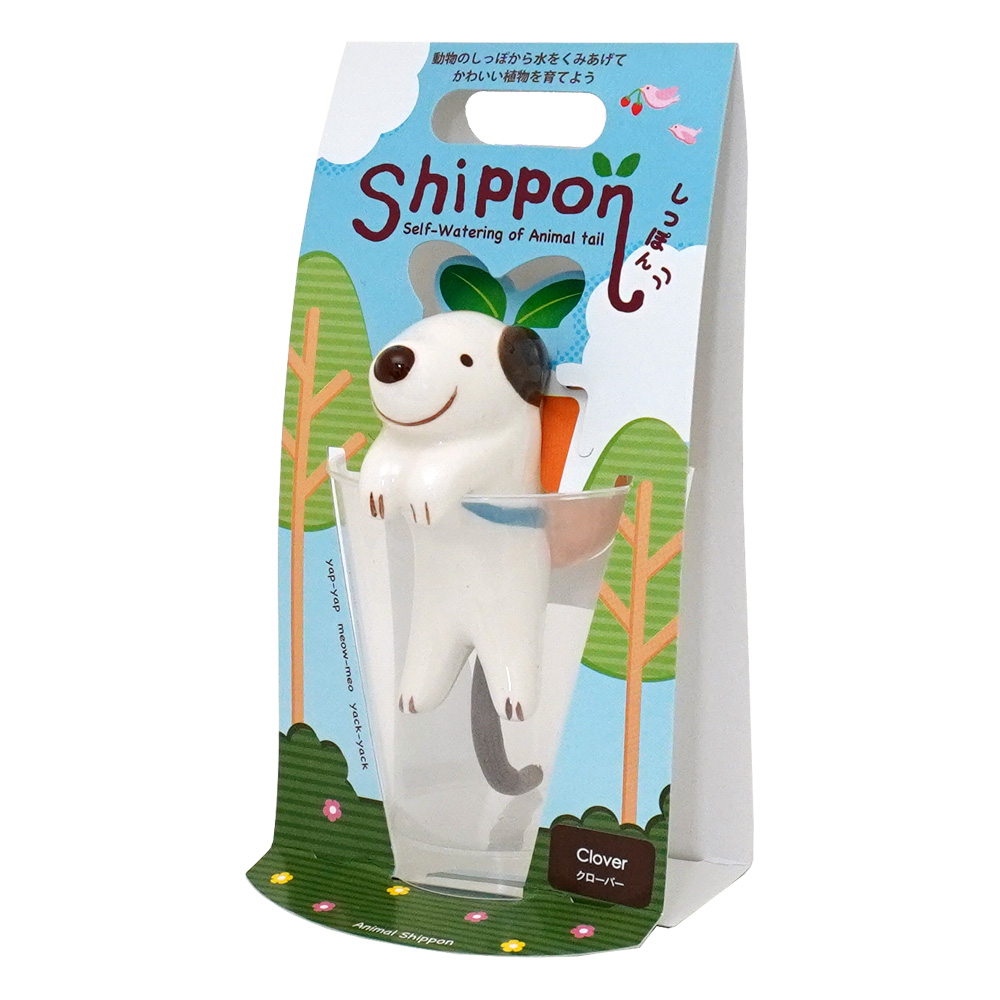 クローバー栽培キット shippon しっぽん イヌ 底面給水ポット 聖新陶芸