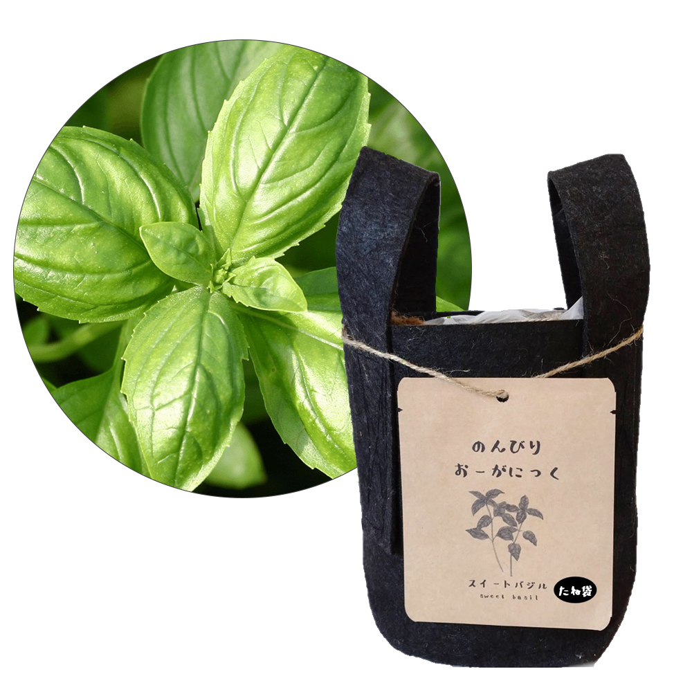 のんびりオーガニック栽培キット スイートバジル 有機種子