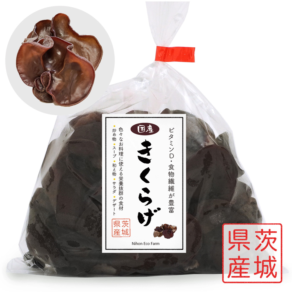 純国産 生きくらげ250g 茨城県産 安心 安全農薬不使用 国産の菌床栽培 日本エコファーム